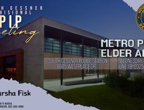 South Gessner Divisional PIP Meeting, June 18
